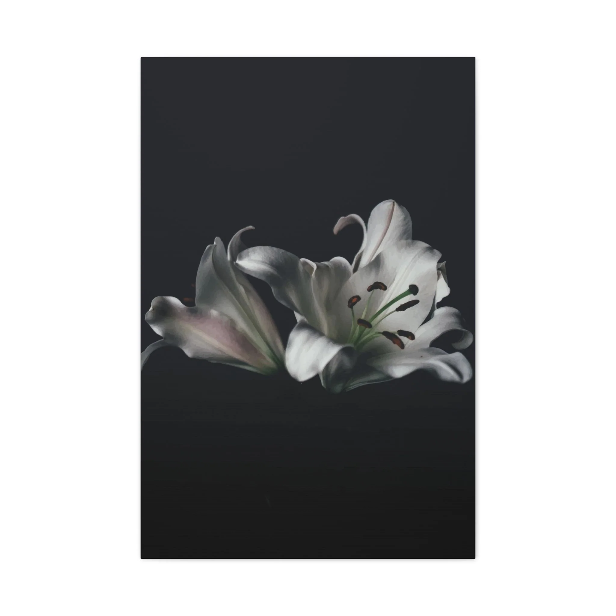 Black Flower Wall Art & Canvas Prints - Image 10