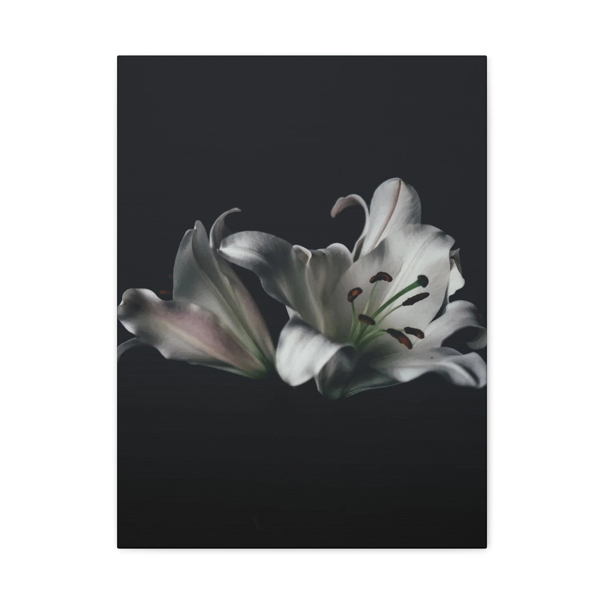 Black Flower Wall Art & Canvas Prints - Image 7