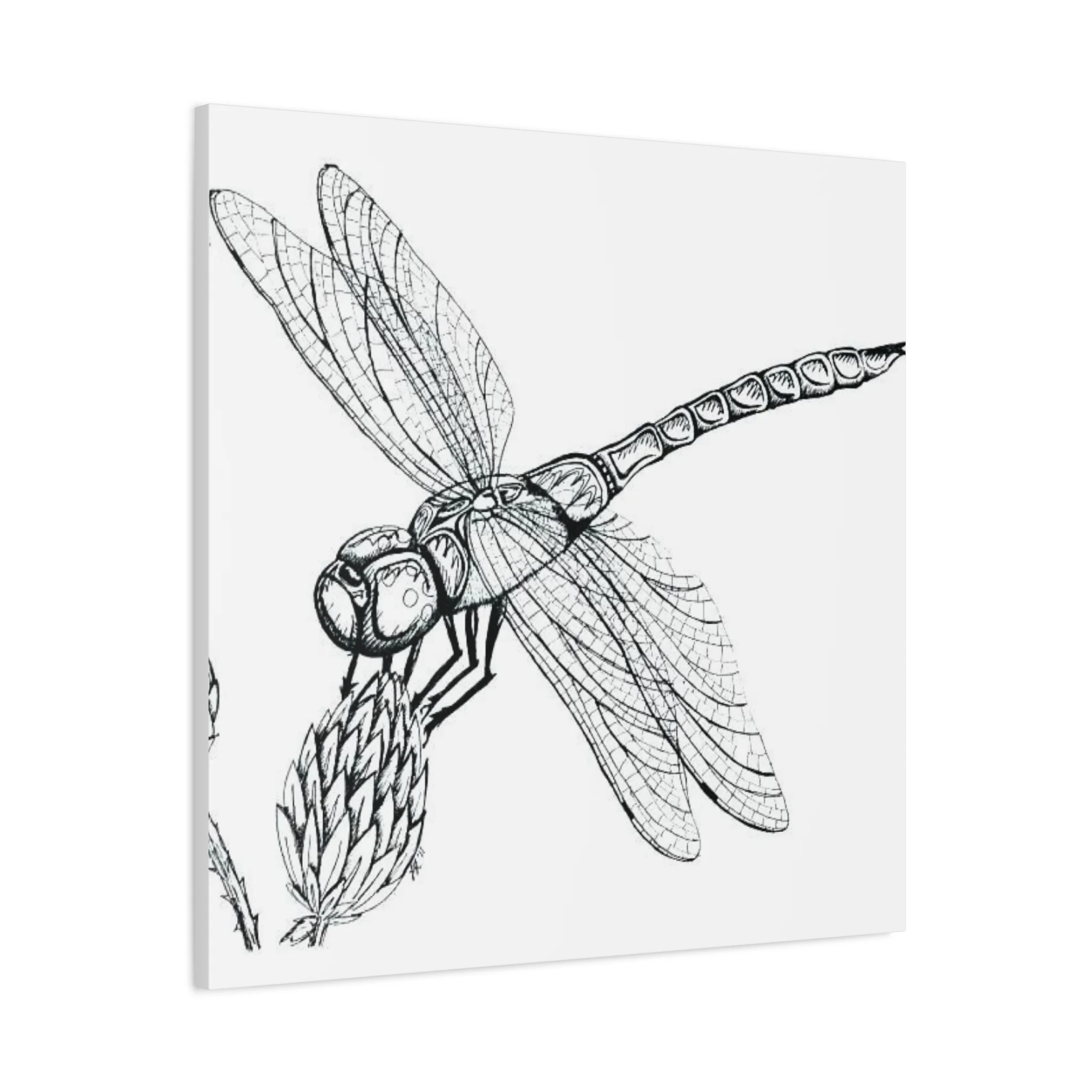 Black & White Dragonfly Wall Art & Canvas Prints - Image 11