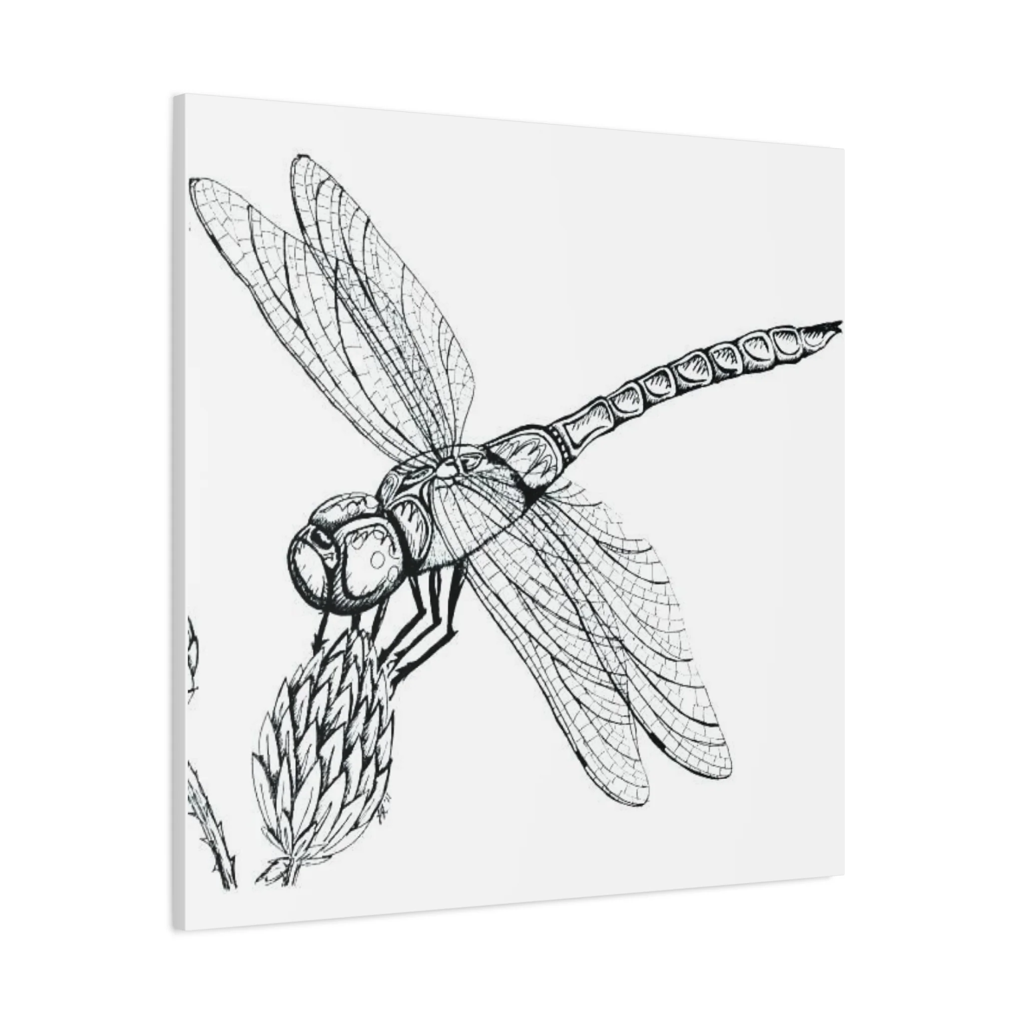 Black & White Dragonfly Wall Art & Canvas Prints - Image 14