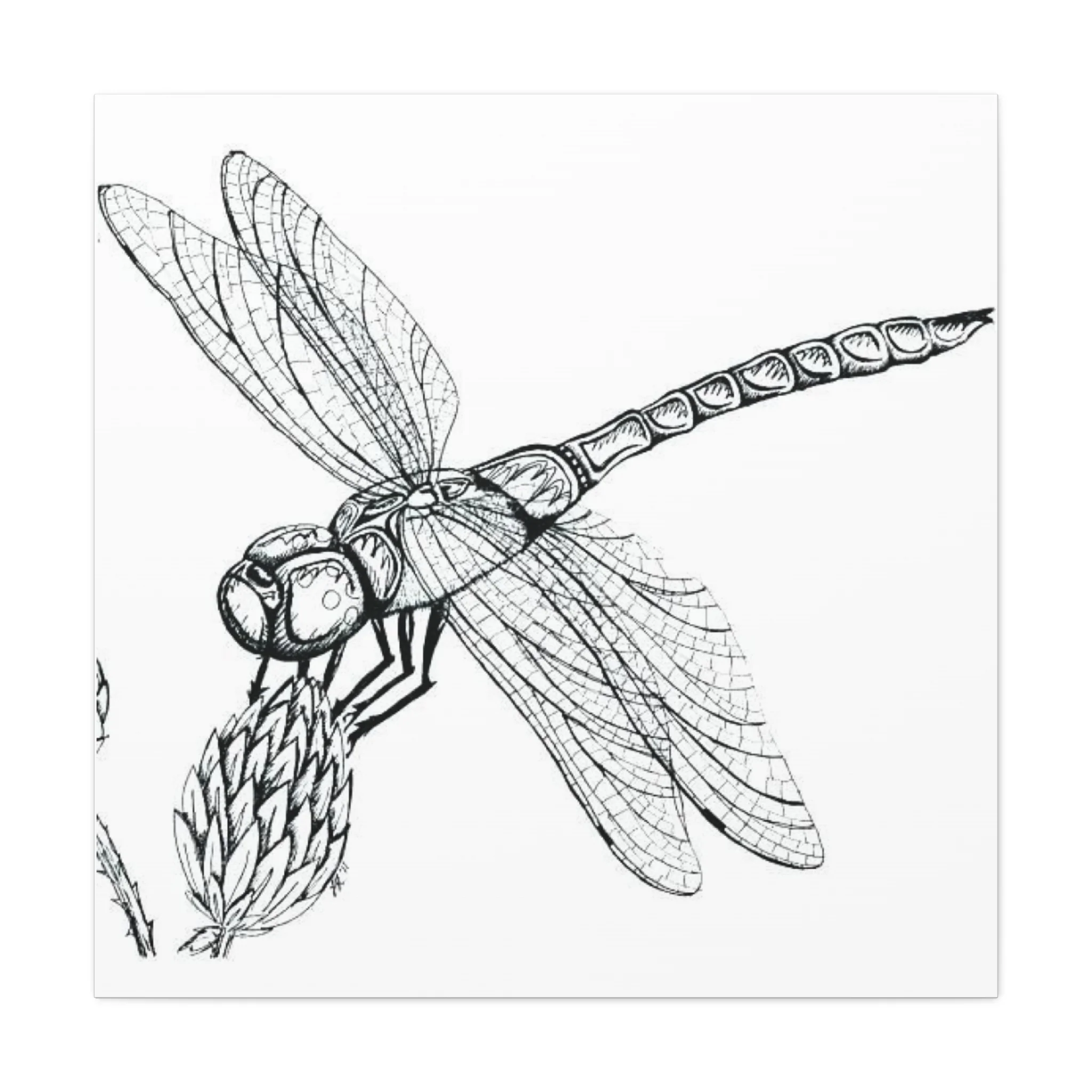 Black & White Dragonfly Wall Art & Canvas Prints - Image 4