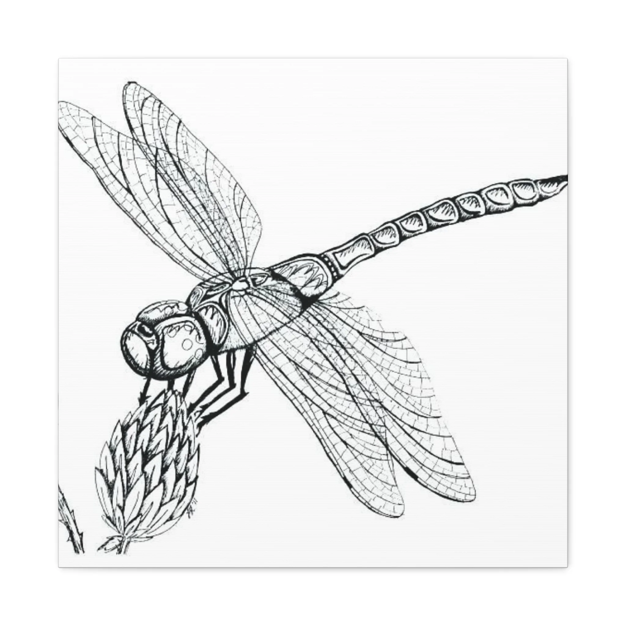 Black & White Dragonfly Wall Art & Canvas Prints - Image 5