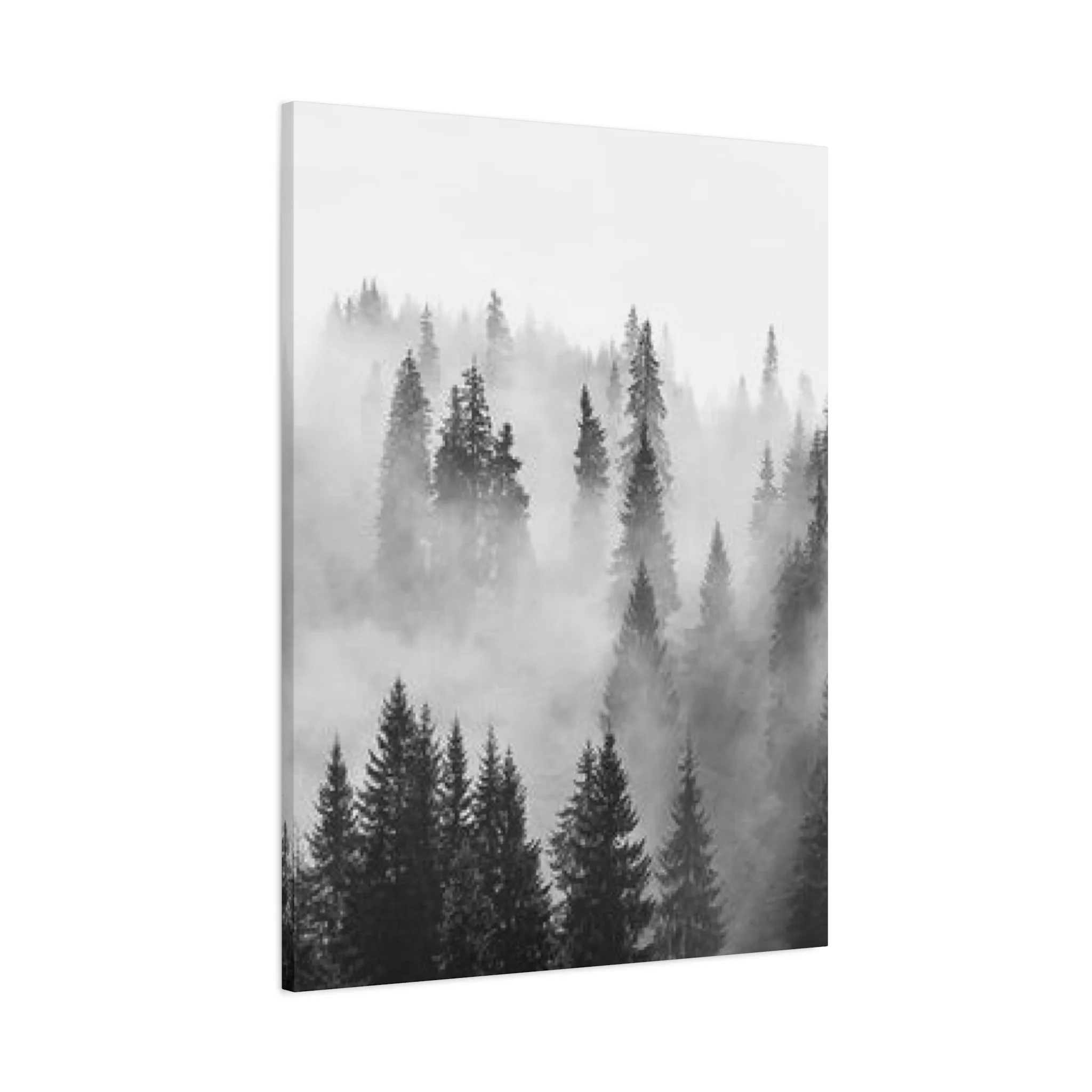 Black & White Fog Forest Fine Wall Art & Canvas Prints - Image 11