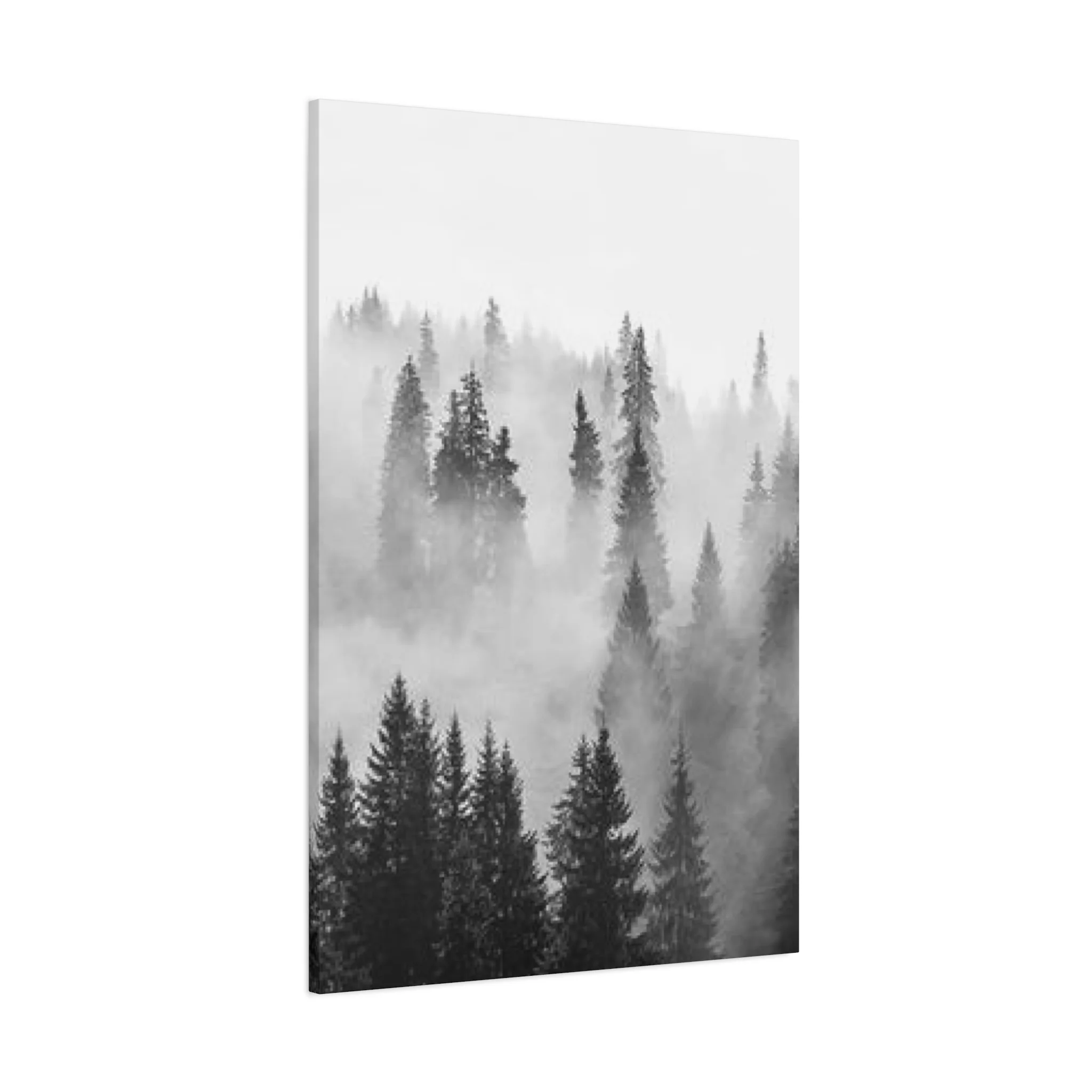 Black & White Fog Forest Fine Wall Art & Canvas Prints - Image 14