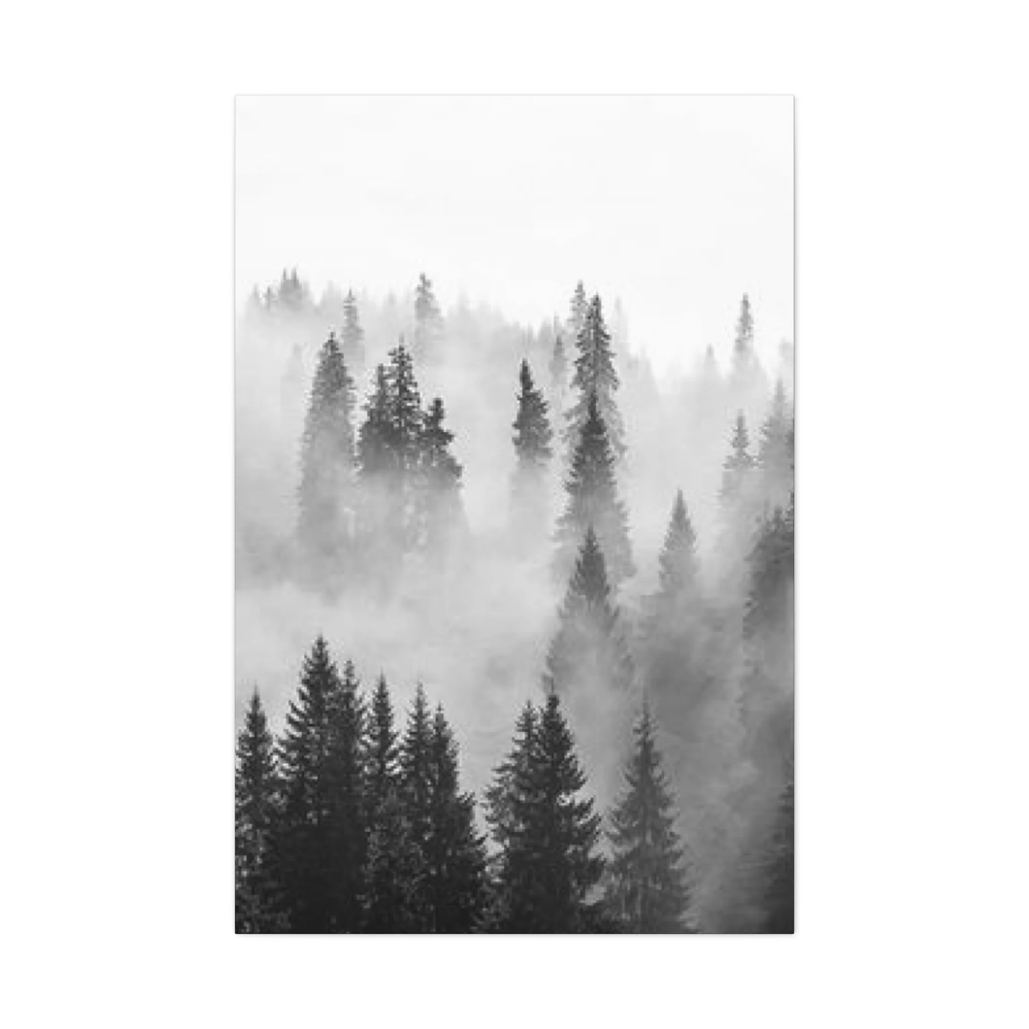 Black & White Fog Forest Fine Wall Art & Canvas Prints - Image 4