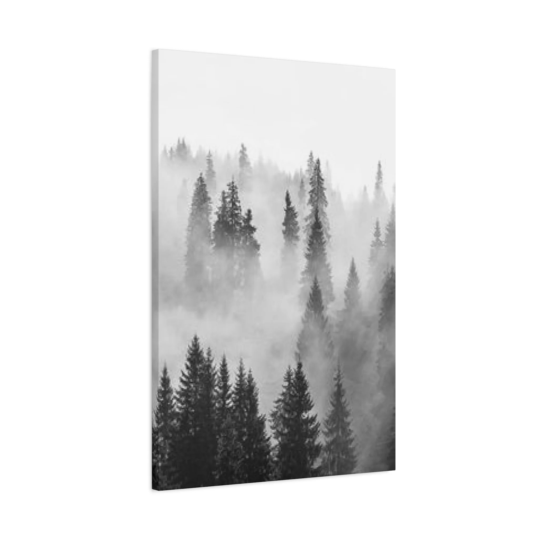 Black & White Fog Forest Fine Wall Art & Canvas Prints - Image 8