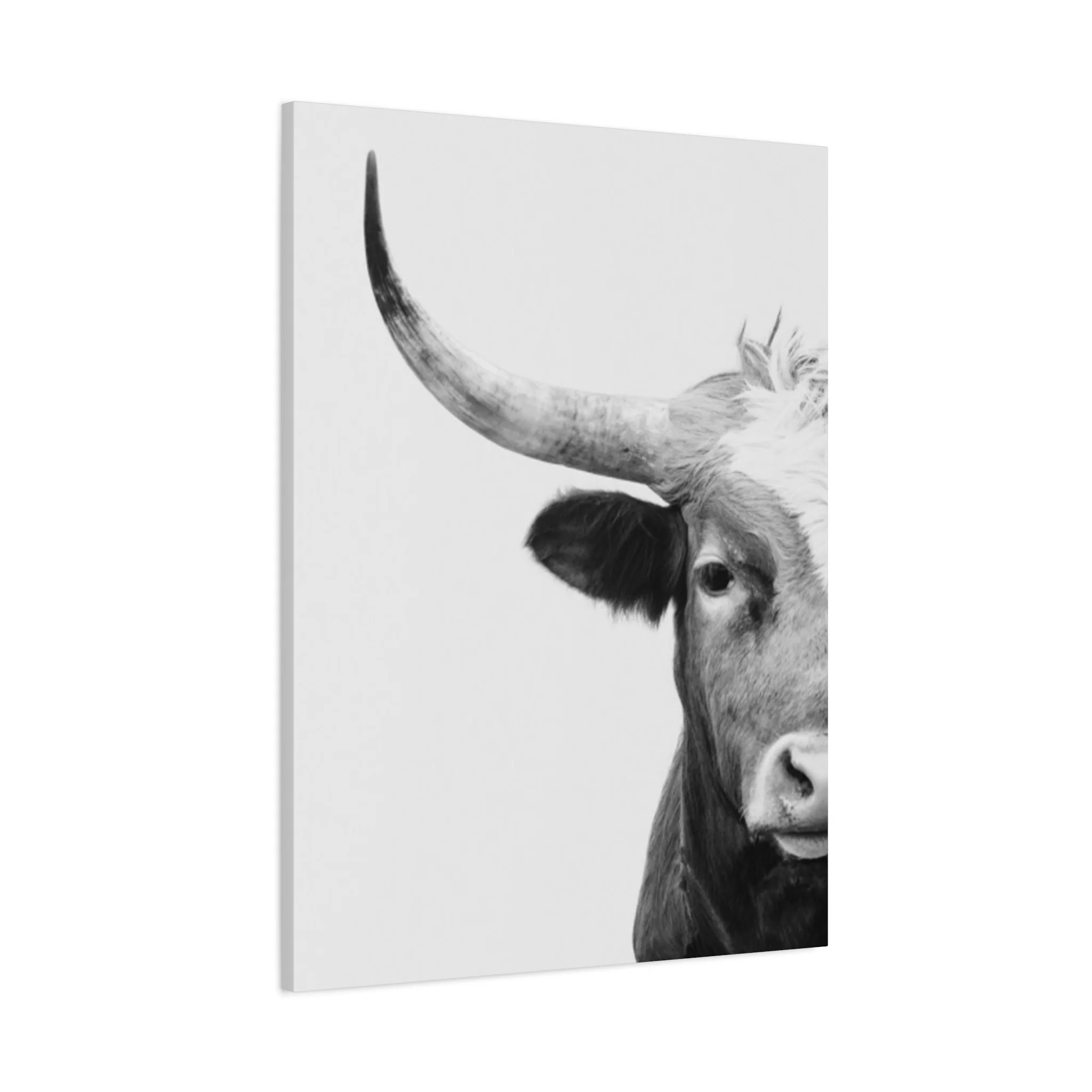 Bull Longhorn Photography Wall Art & Canvas Prints - Image 11