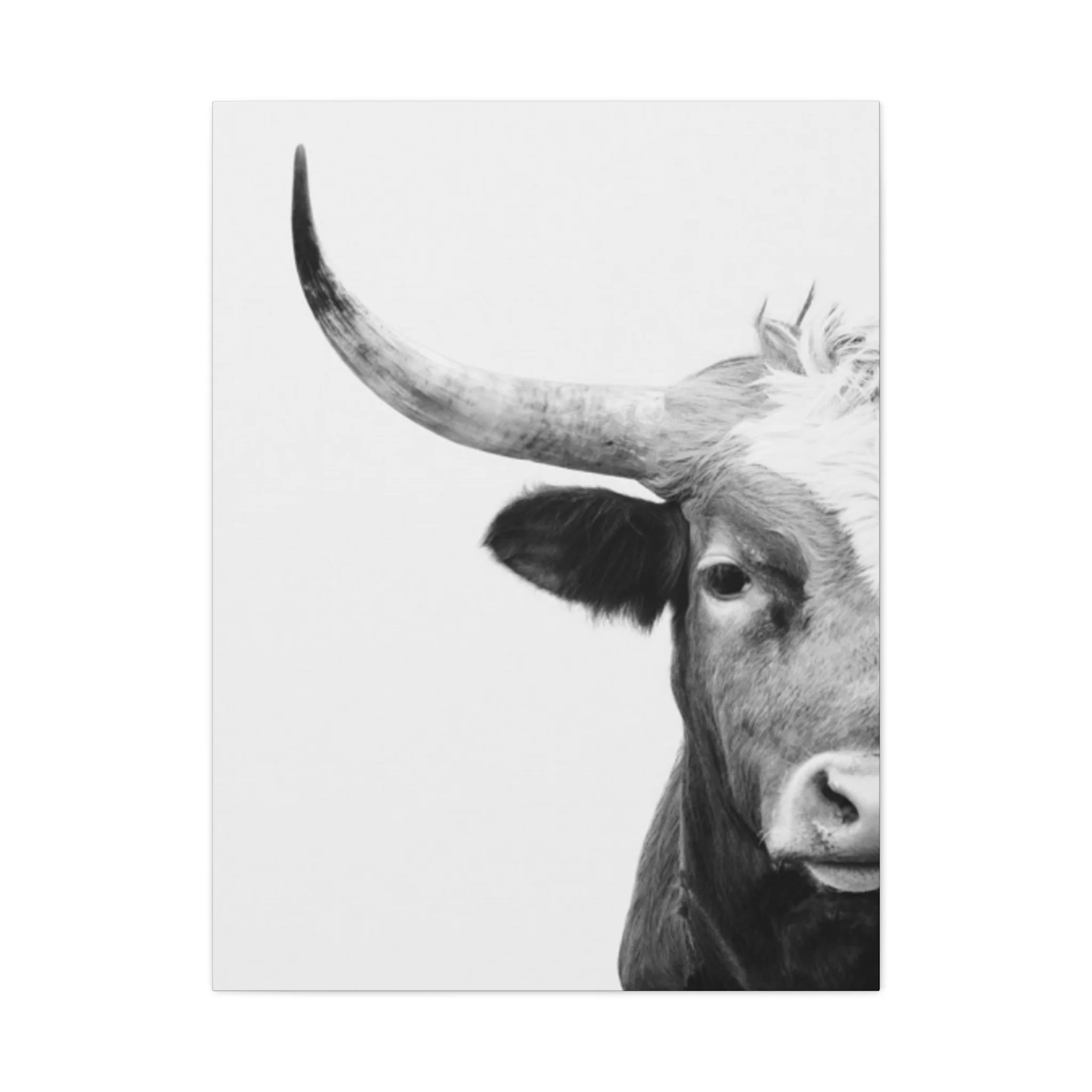 Bull Longhorn Photography Wall Art & Canvas Prints - Image 3