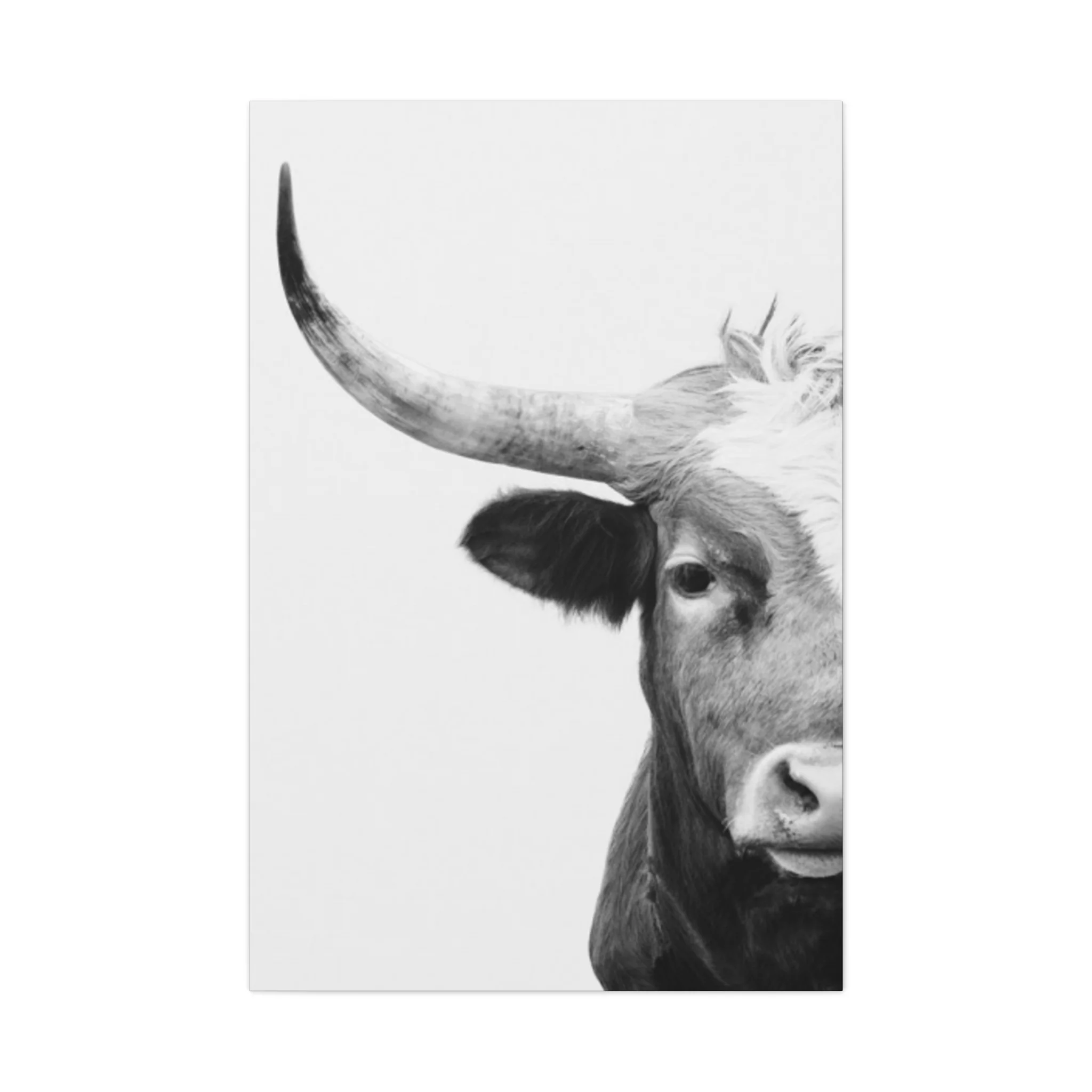 Bull Longhorn Photography Wall Art & Canvas Prints - Image 4