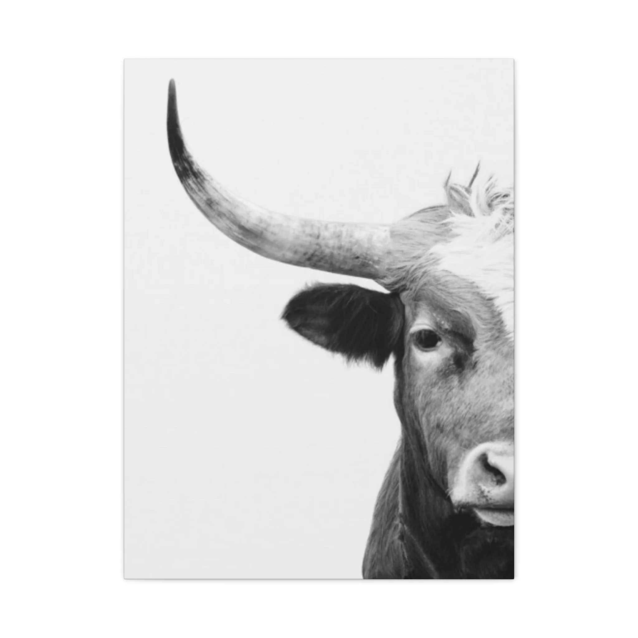 Bull Longhorn Photography Wall Art & Canvas Prints - Image 5