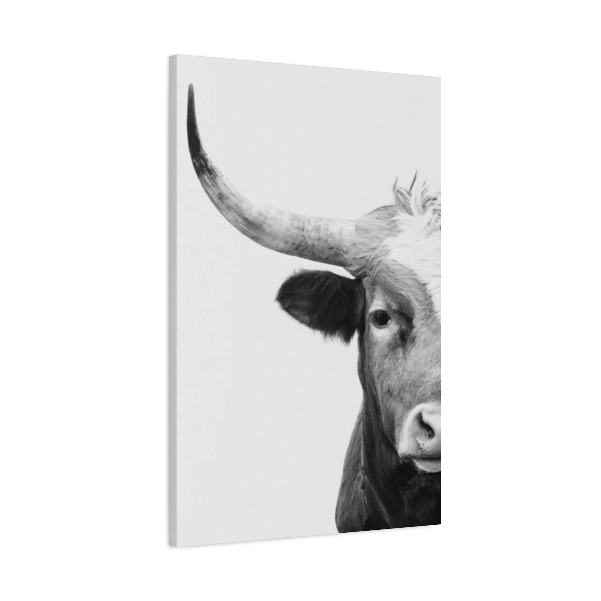 Bull Longhorn Photography Wall Art & Canvas Prints - Image 8
