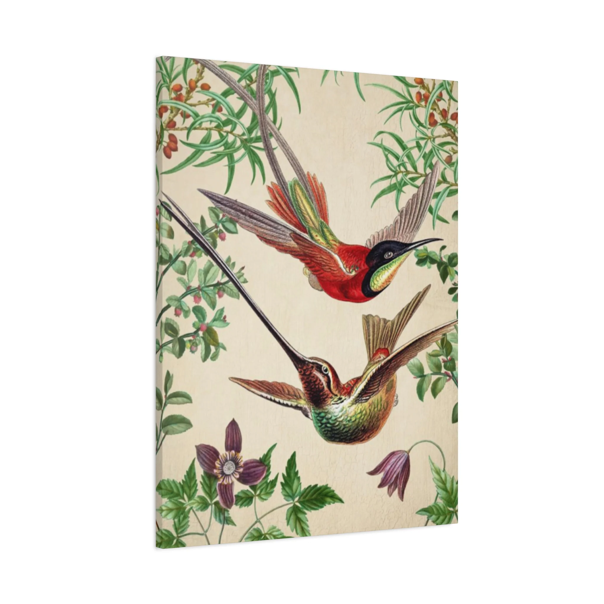 Humming Bird Couple Candid Painting Wall Art & Canvas Prints - Image 11