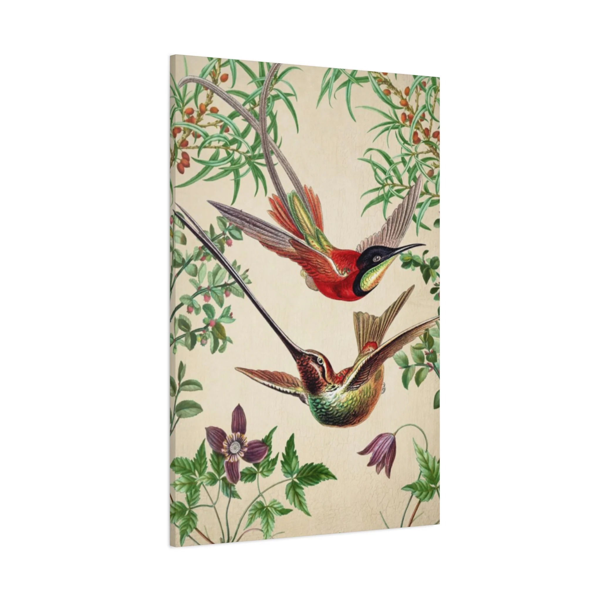 Humming Bird Couple Candid Painting Wall Art & Canvas Prints - Image 14