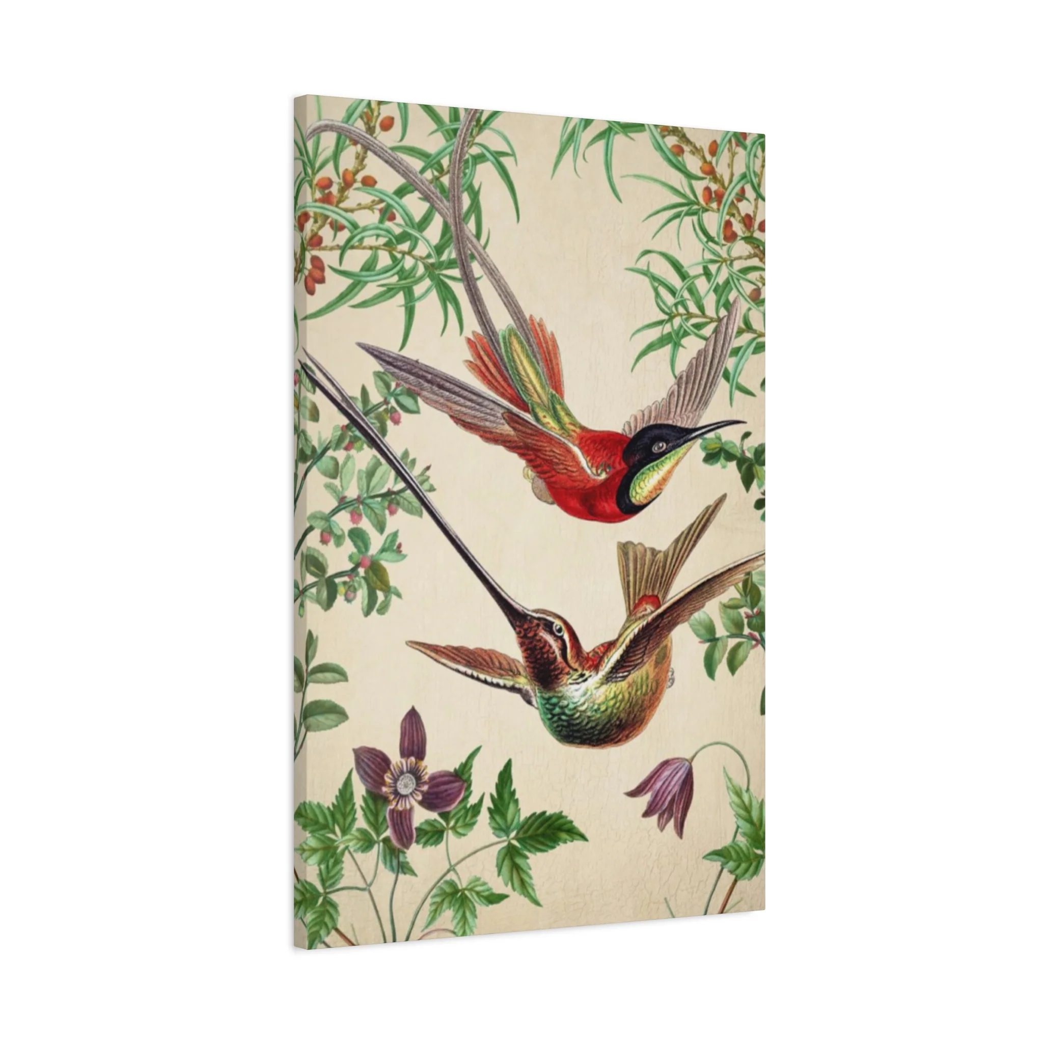 Humming Bird Couple Candid Painting Wall Art & Canvas Prints - Image 8