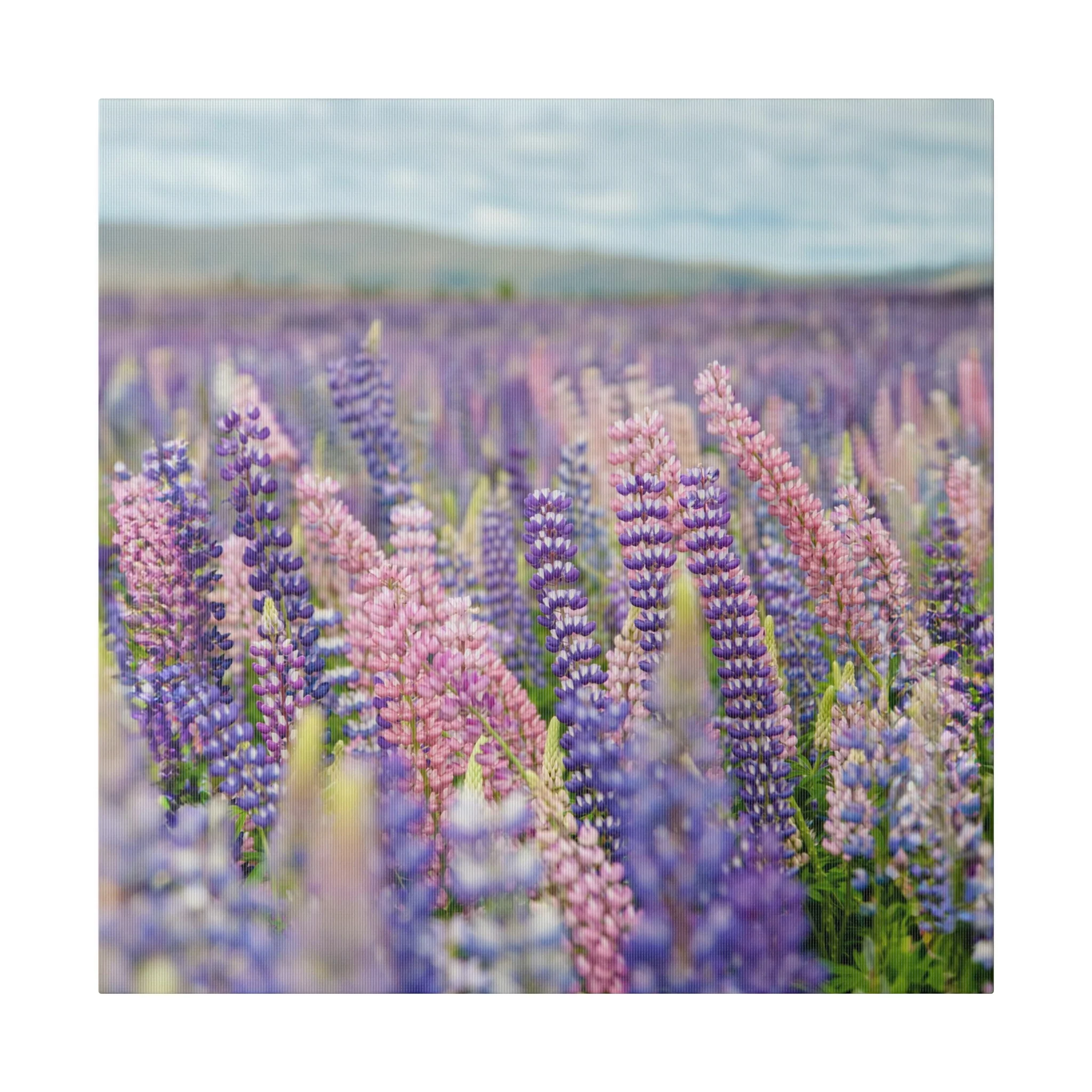 Lavender Flower Wall Art and Canvas Prints - Image 10