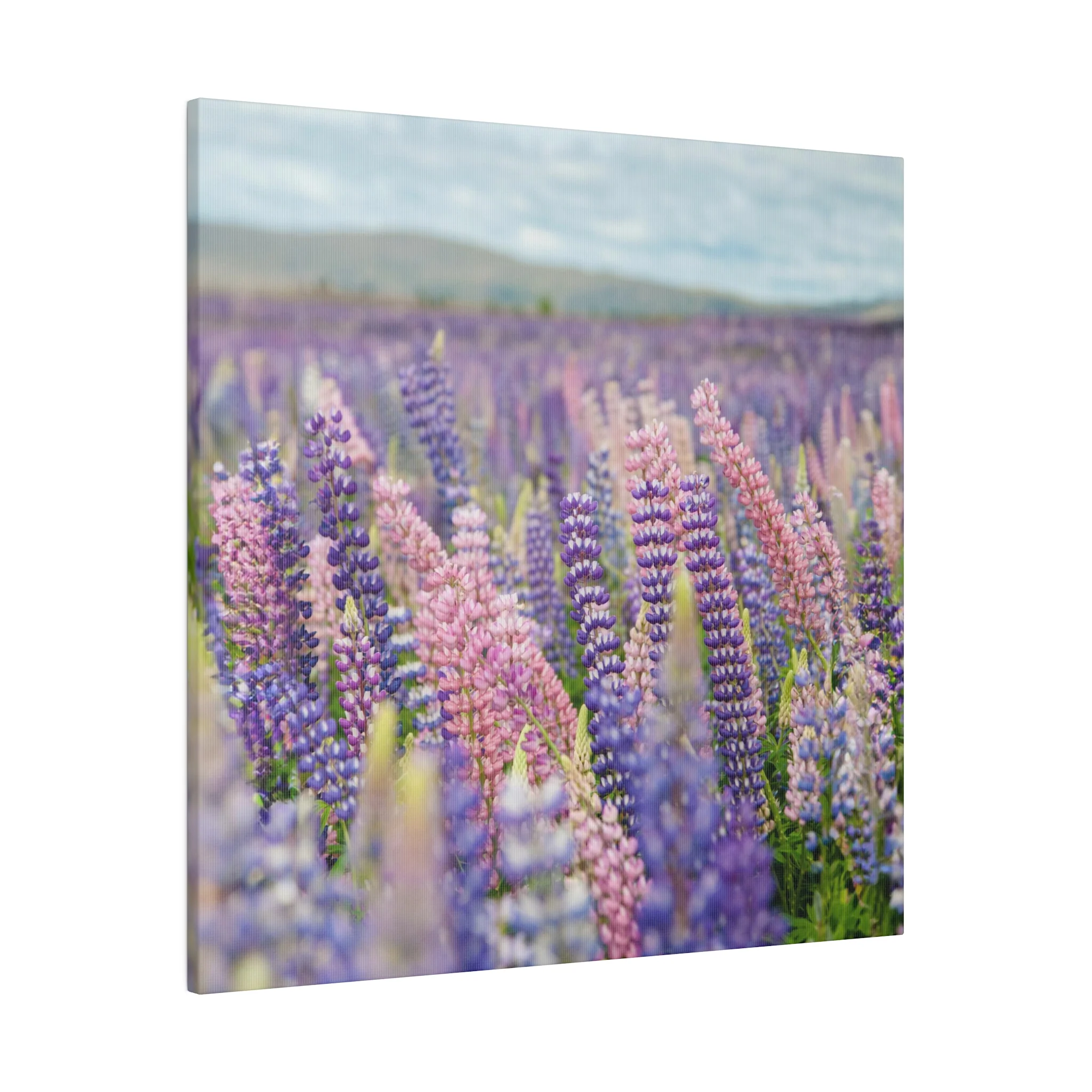 Lavender Flower Wall Art and Canvas Prints - Image 3