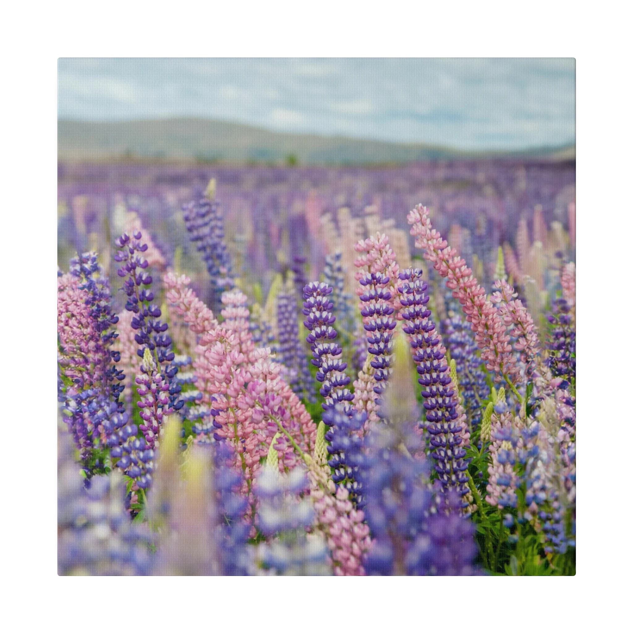 Lavender Flower Wall Art and Canvas Prints - Image 7