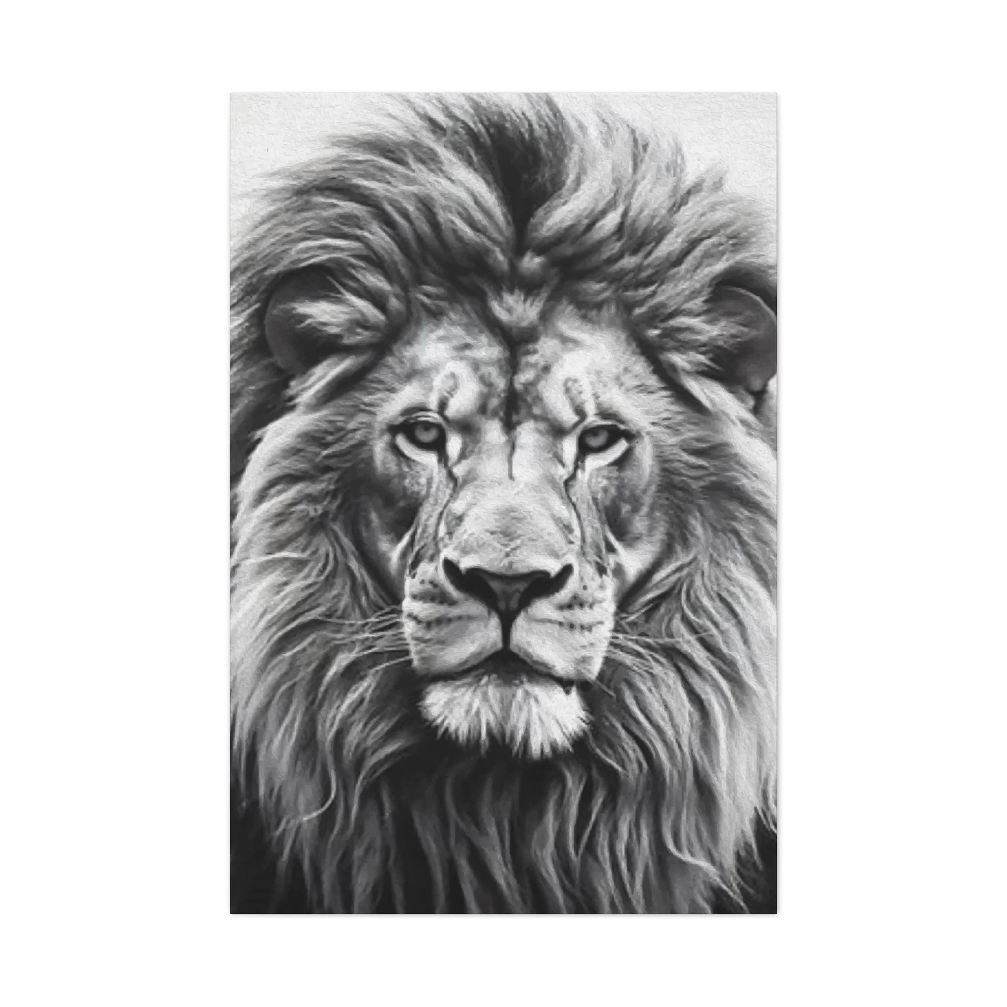 Lion BW Wall Art & Canvas Prints - Image 10
