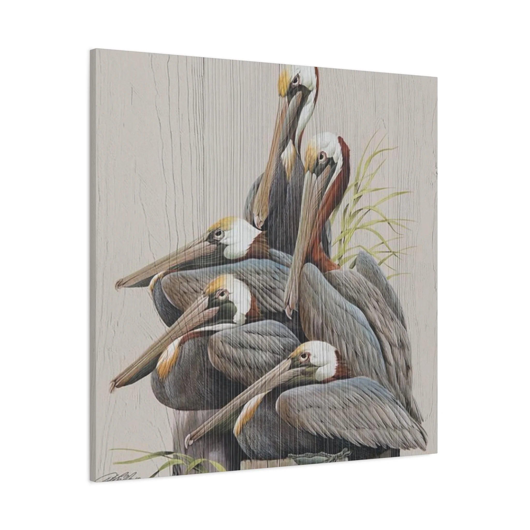 Pelican Family Poster Wall Art & Canvas Prints - Image 14