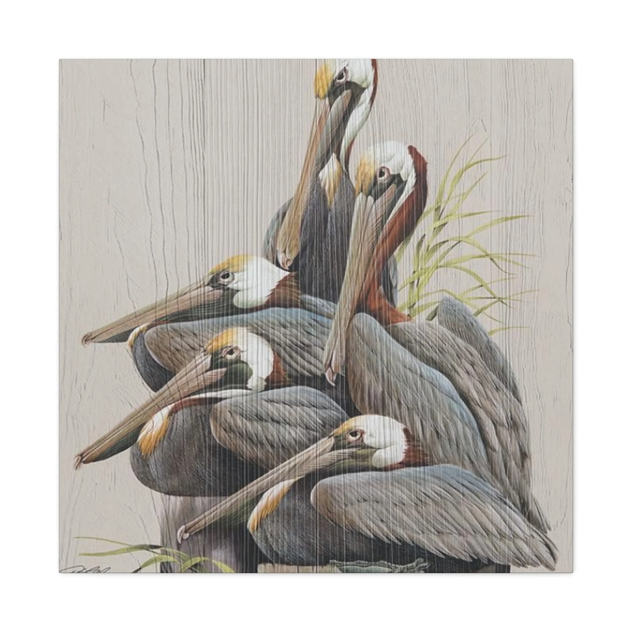 Pelican Family Poster Wall Art & Canvas Prints - Image 3