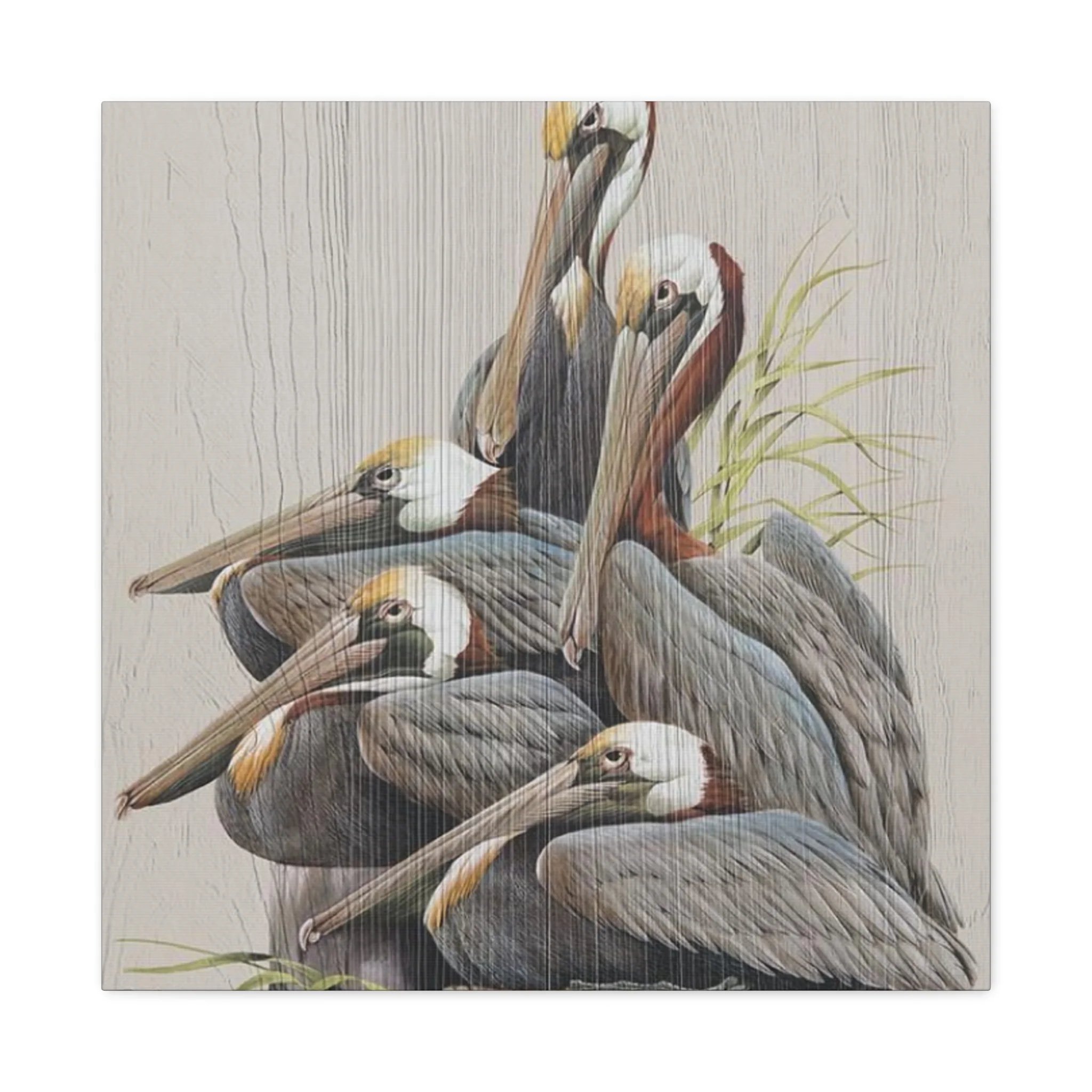 Pelican Family Poster Wall Art & Canvas Prints - Image 5