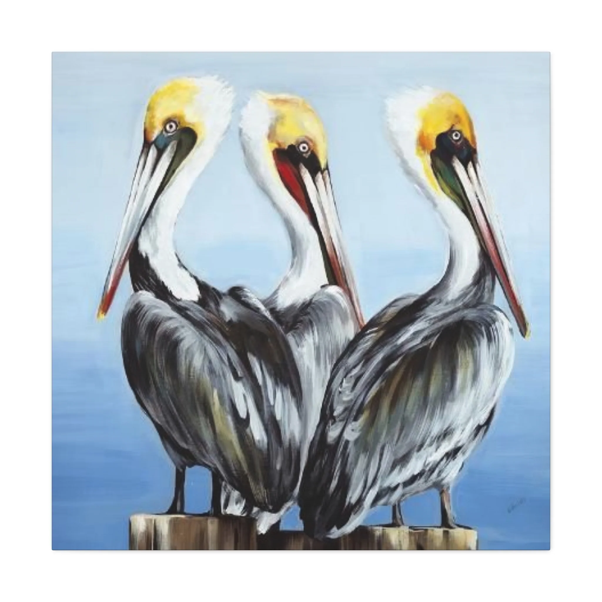 Three Pelican Family Poster Wall Art & Canvas Prints - Image 4