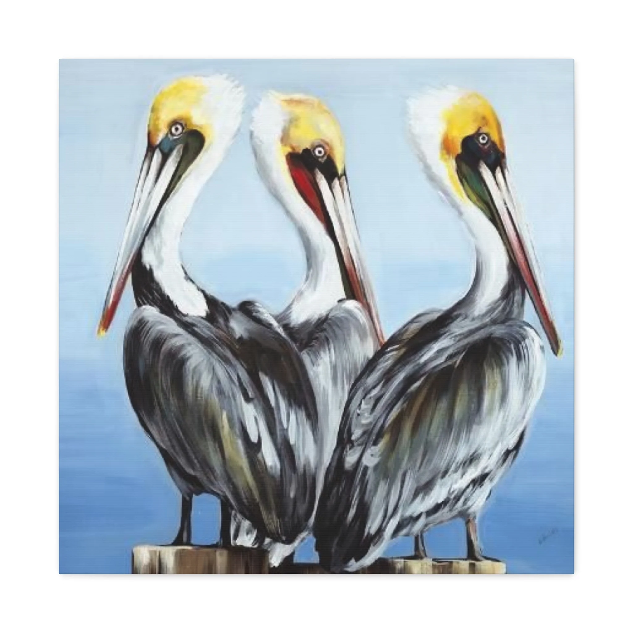Three Pelican Family Poster Wall Art & Canvas Prints - Image 5