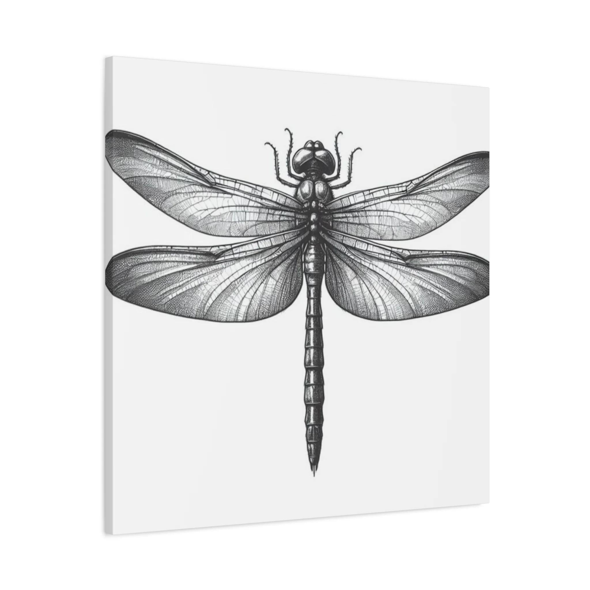 Top of Black Dragonfly Wall Art & Canvas Prints - Image 11