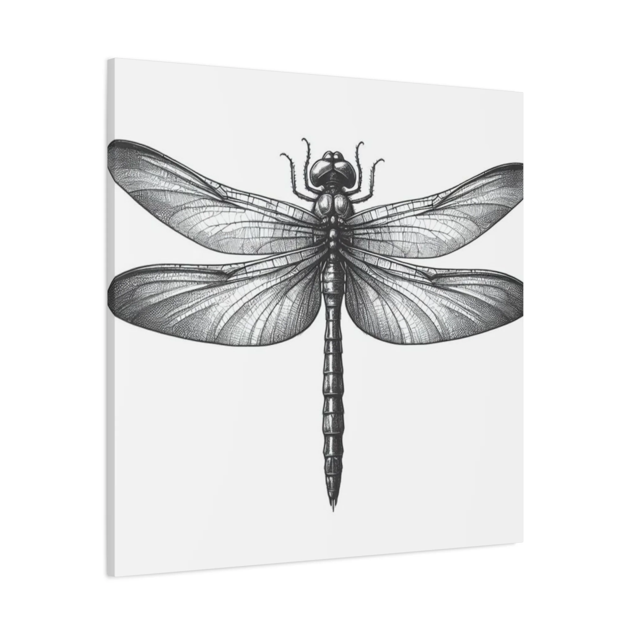 Top of Black Dragonfly Wall Art & Canvas Prints - Image 14