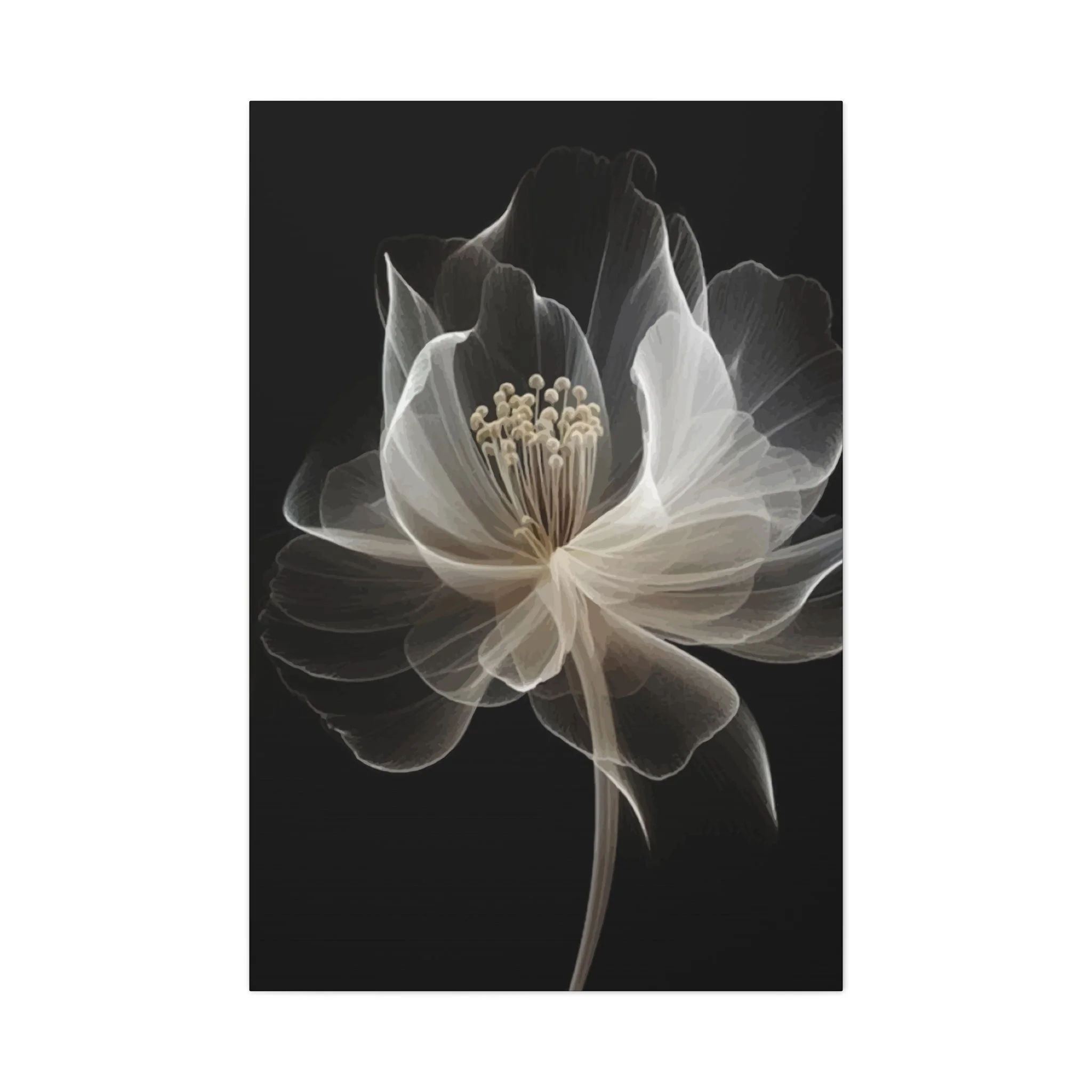 White flower Wall Art & Canvas Prints - Image 10