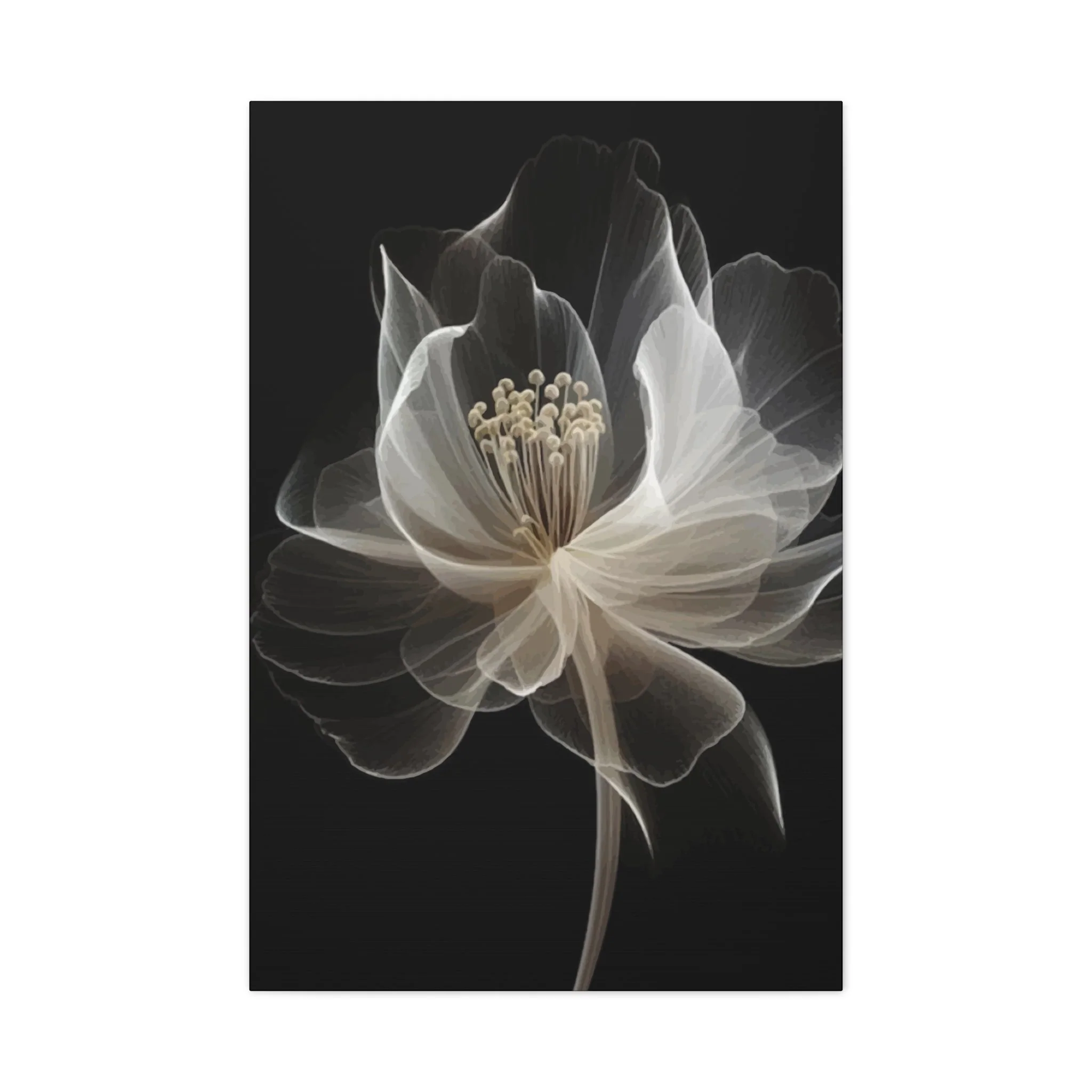 White flower Wall Art & Canvas Prints - Image 4