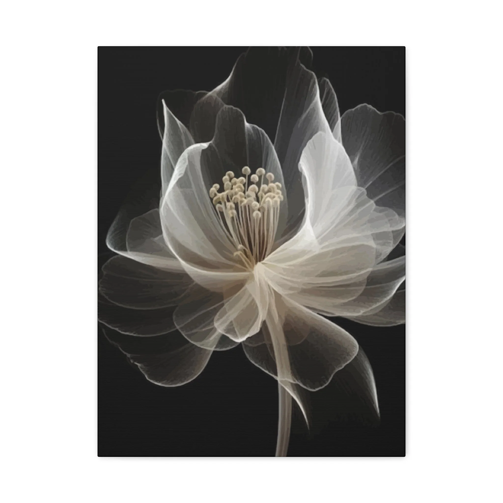 White flower Wall Art & Canvas Prints - Image 7