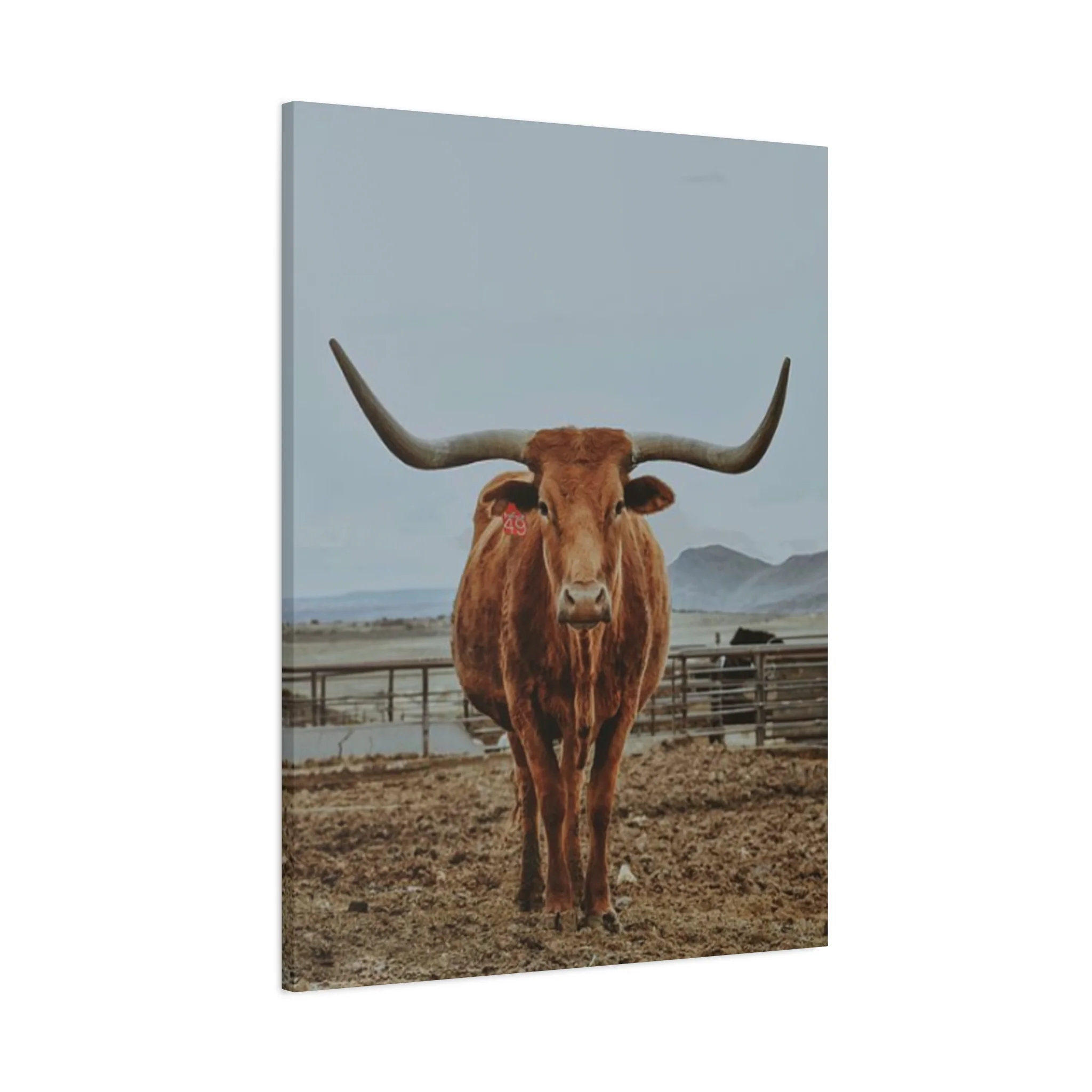 Wild Brown Buffalo Longhorn Wall Art & Canvas Prints - Image 11