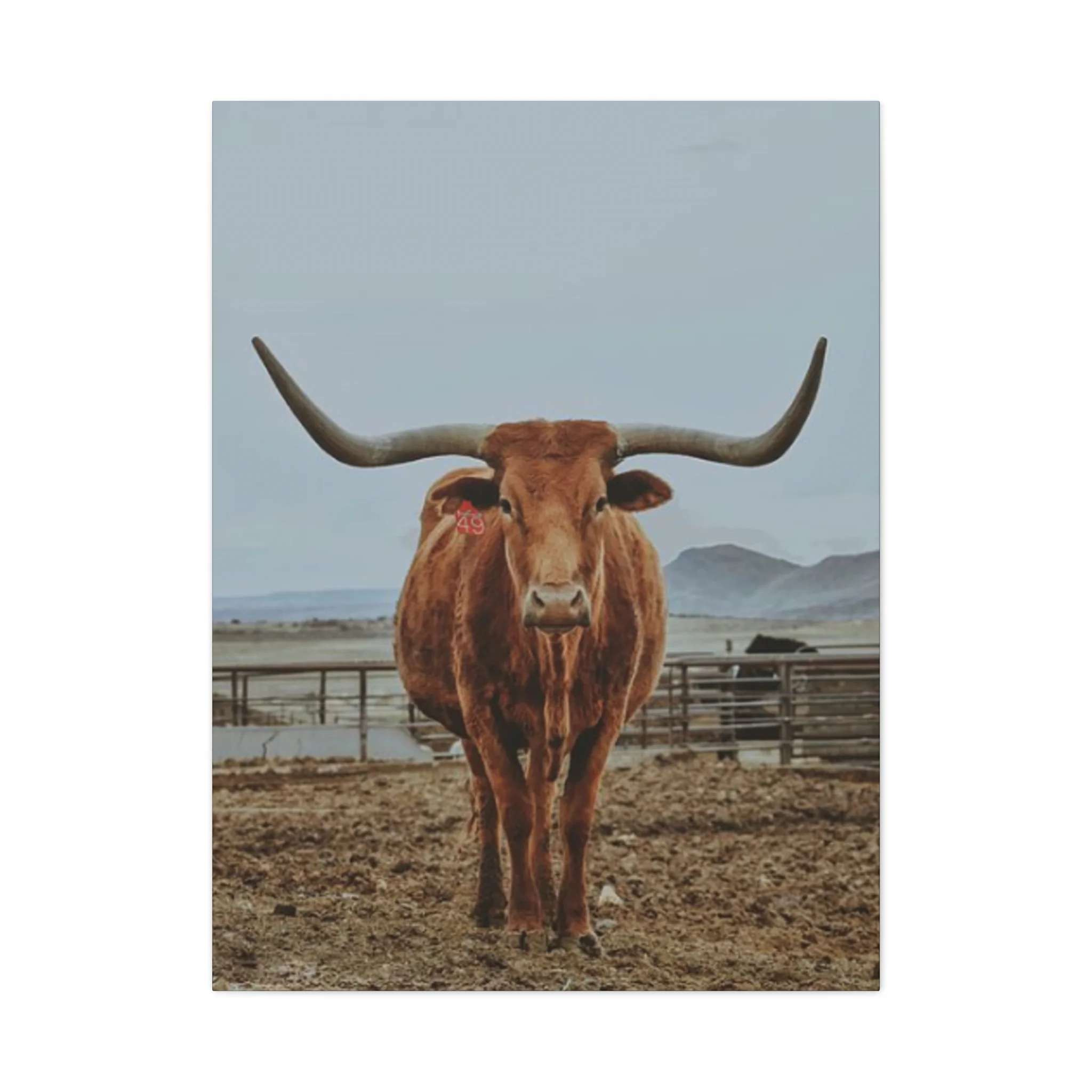 Wild Brown Buffalo Longhorn Wall Art & Canvas Prints - Image 3