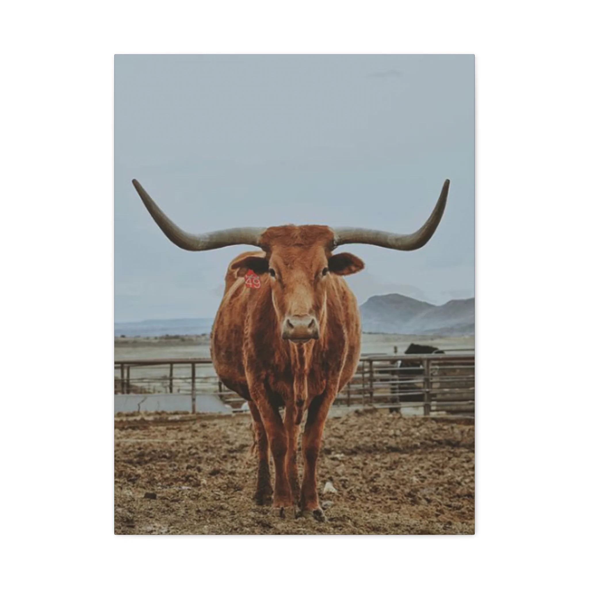 Wild Brown Buffalo Longhorn Wall Art & Canvas Prints - Image 5