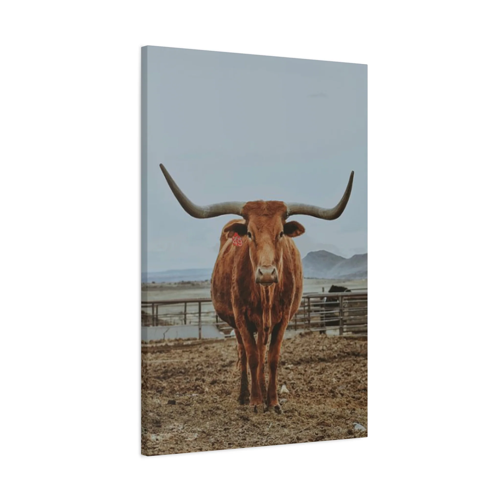 Wild Brown Buffalo Longhorn Wall Art & Canvas Prints - Image 8